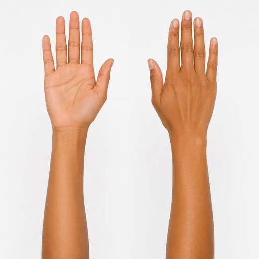 Hands and forearms
